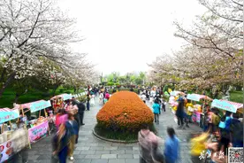 直冲31℃，武汉今年首次！图片
