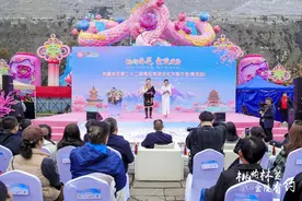 @南京人，西藏林芝第二十二届桃花旅游文化节邀你去看花图片