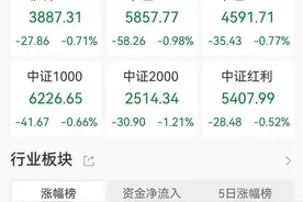 A股收评：低开低走三大指数齐跌，北证50跌2.71%！黄金、算力概念走强，光伏、机器人板块领跌，超4000股下跌，成交1.24万亿放量983亿图片