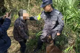长沙警犬“嗷天”，立功！图片