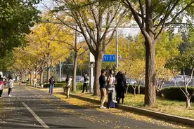 调查|占道拍照、乱扔垃圾……街拍美景别丢了“文明”图片