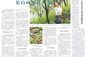 人民日报海外版整版聚焦吉林：长白山上话人参图片