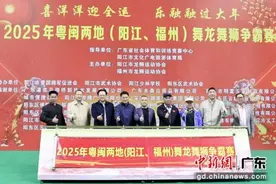 2025年粤闽两地舞龙舞狮争霸赛在阳江举办图片