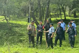 青海互助：北山林场巡护记图片
