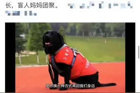 导盲犬珍妮，一路走好！图片