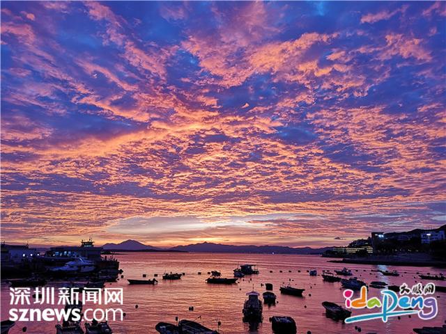 花胶蚝干汤 2026年花胶干贝煲汤的做法大全