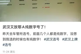 鄂A纯数字号牌大量发放？武汉交警回应图片
