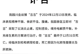 重庆动物园金丝猴“吉吉”死亡，原因公布图片