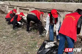 初心璀璨 文明花开——岳阳市自然资源和规划局创建省级文明单位走笔图片
