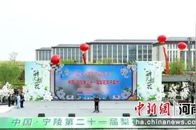 宁陵县梨花周开幕 22万亩梨花开启赏花季图片