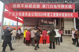 剑阁县白龙镇：集中发放劳务工资 让群众“安薪”过年图片