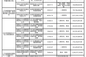 专项债收回14宗土地后，国企率先下场拿地丨珠海楼市观察图片