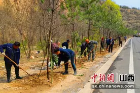 夯实绿色根基 筑牢生态屏障 襄垣有序推进春季造林绿化工作图片