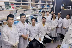 刷新教科书！最全人体免疫系统发育图谱来了图片