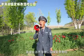 长治“郁金香保安”火出圈，对工作的认真劲打动人心图片