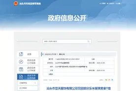 汕头市雷天服饰有限公司召回部分乐米屋牌男童T恤图片