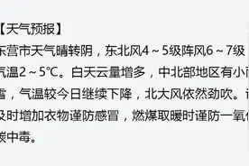 早安黄河口（12月10日）冠州梨园：堆雪铺玉三千顷 飞甜流香十万家图片