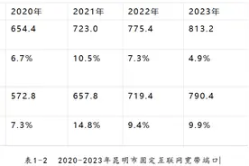 《昆明市互联网发展状况（2024）》图片