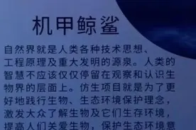 买票去深圳一海洋馆，看的却是机器鱼？有人感觉被骗，但真相更揪心图片