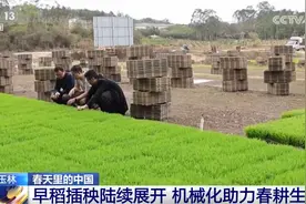 万象“耕”新不负春 希望的田野上农业现代化图景满满“科技范儿”图片