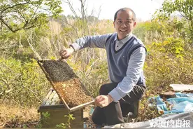 500公斤冬蜜滞销，厦门蜂农无奈求助→图片