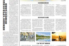 《云南日报》整版聚焦！大理：抓实各项目标任务 推动经济量质提升！图片