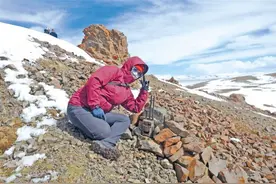 守护雪豹，共建人与自然和谐共生美丽家园图片