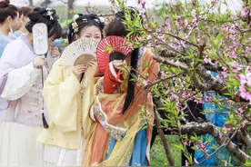 记者在一线 | 漯河：桃花灼灼开 花香醉游人图片