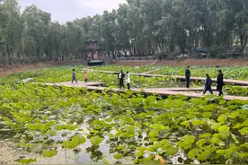 密云朱家湾观鸟胜地升级，清水河畔观鸟步道开放图片