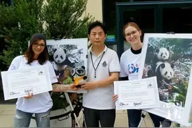 万千气象“画”四川⑥｜周孟棋：拍摄大熊猫32年，我是幸福的！图片