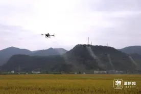 发展农业农村低空经济 浙江乡村加速“起飞”图片
