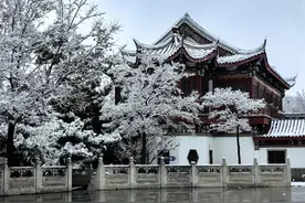 图集|下雪的烟台有多美？跟随摄影师镜头，邀你开启仙境冰雪之旅图片