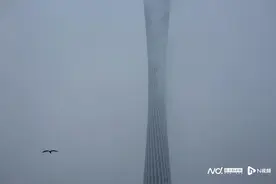 熟悉的3月天，低能见度中都市迷蒙，高清图透视广州“阿南”图片