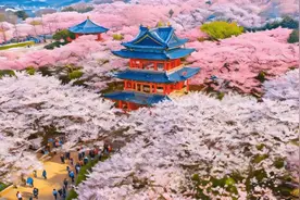 AI动春天 | “赏花+文旅”“赏花+赛事”……一场花季背后，见江苏经济勃勃生机图片