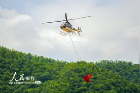 河南洛阳：2024年度飞播造林启动图片