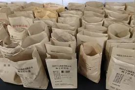 预计制种120万公斤，四川水稻当家品种加工全面启动图片