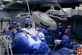 全球首例！接受猪肾脏移植的他被宣告死亡，死因尚未公布图片
