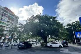 “百千万见文录”之广州湾风情徜徉记②：不浪漫的西营，浪漫的地中海风情图片