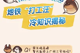 长图｜原来广州地铁有警犬执勤！关于“打工汪”还有这些冷知识图片