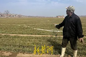 潍坊诸城：培育新型农业经营主体，助力粮食生产安全图片