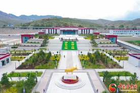 【坐着高铁看中国·兰新高铁行】高铁开进青藏之眼天祝 白牦牛故乡邀您畅游草原图片
