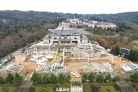 百里杜鹃：以商招商激活“一池春水”图片