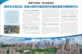 重庆市大渡口区：在奋力谱写中国式现代化重庆篇章中展现新作为图片