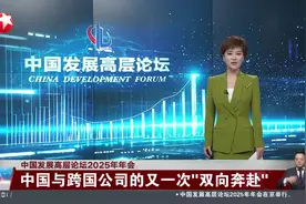 中国发展高层论坛2025年年会 中国与跨国公司的又一次“双向奔赴”视频封面
