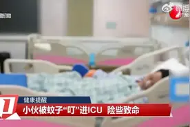 事发广东！被咬一口直接住进ICU！这种病正在高发期……图片