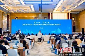 宜宾：揽金近500亿 长江首尾“沪”动未来图片