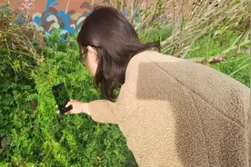 画近百网格 查生态“家底”，全市生物多样性本底调查评估已进入实质性阶段图片