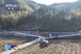 提收益降成本 湖南试点新型经营模式 保障农民种粮效益图片
