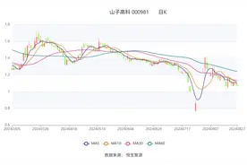 山子高科：2024年上半年亏损6.30亿元图片