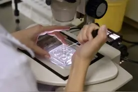美千余名科学家签署公开信，控诉特朗普政府削减科研经费图片